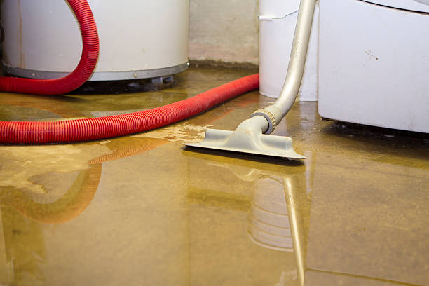 Trusted Water Damage Restoration in Nashville, IL | Fast, Reliable, and Ready to Assist You